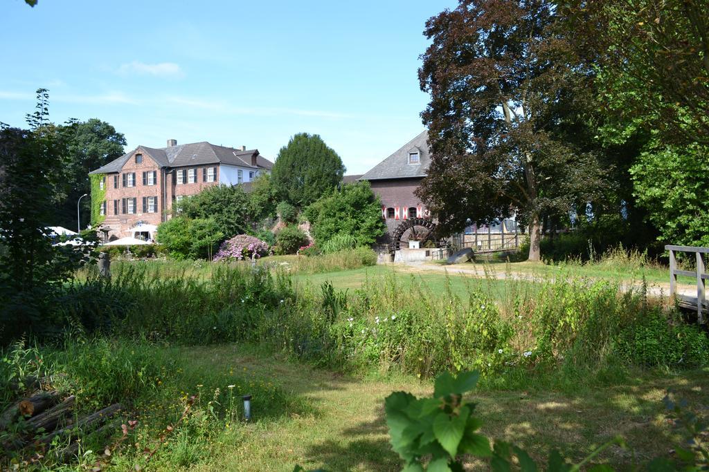 4 Sterne Lavendel Brueggen